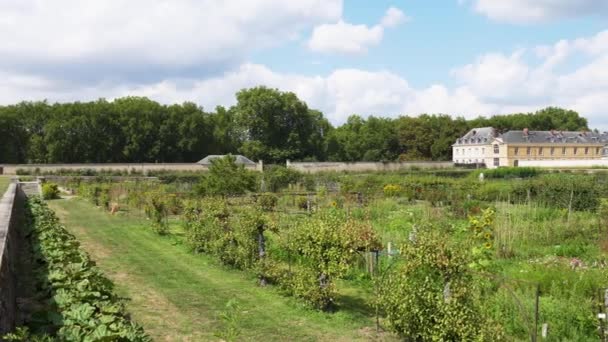 Versailles France August 2022 Pan Shot Kings Kitchen Garden Potager — Video