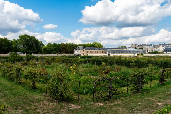 Versailles France August 2022 Kings Kitchen Garden Potager Roi Built — Stock Photo, Image