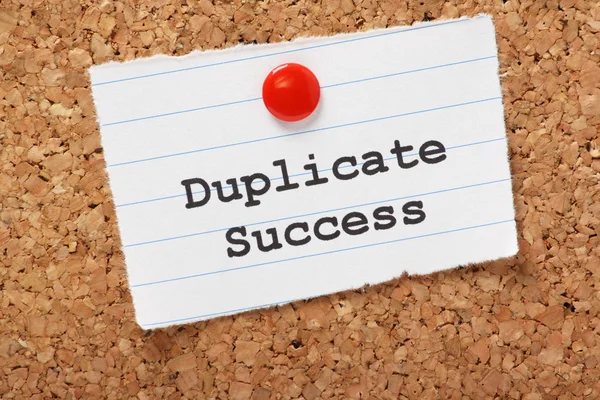 Duplicate Success — Stock Photo, Image