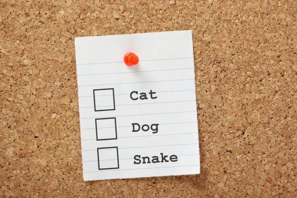 Cat, Dog or Snake? — Stock Photo, Image