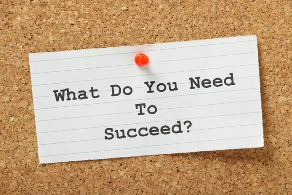 What Do You Need to Succeed? — Stock Photo, Image