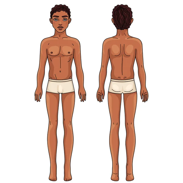 Male body front and back African american man — Stock Vector