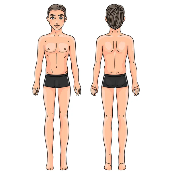 Cuerpo masculino delante y detrás Hombre europeo — Vector de stock