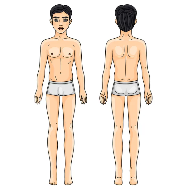 Male body front and back Asian man — Stock Vector