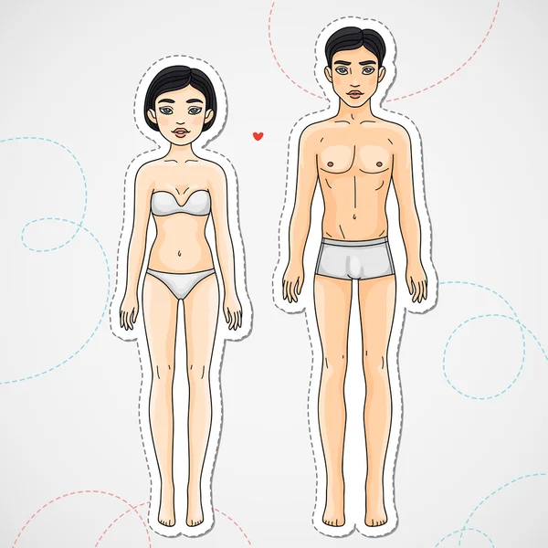 Masculino y femenino cuerpo asiático étnico — Vector de stock