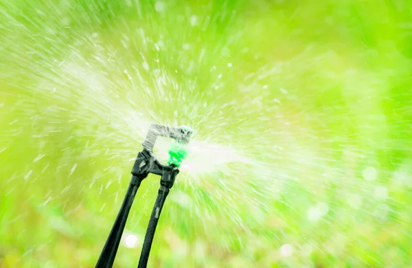 Nahaufnahme Sprinkler Bewässerung Von Gras Auf Verschwommenem Grünen Hintergrund Sprinkler — Stockfoto