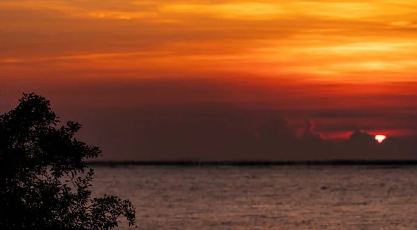 Árvore Silhueta Fundo Borrão Céu Pôr Sol Vermelho Laranja Sobre — Fotografia de Stock