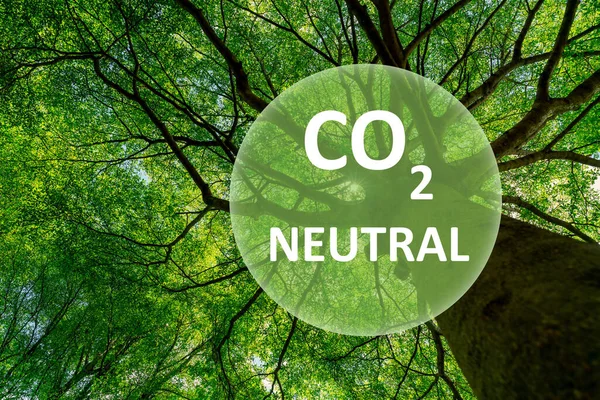 Carbon neutral concept. CO2 neutral in circle logo on green tree in the forest. Environment day and earth day background. Eco friendly. Ecology environment and conservation. Go green business concept.