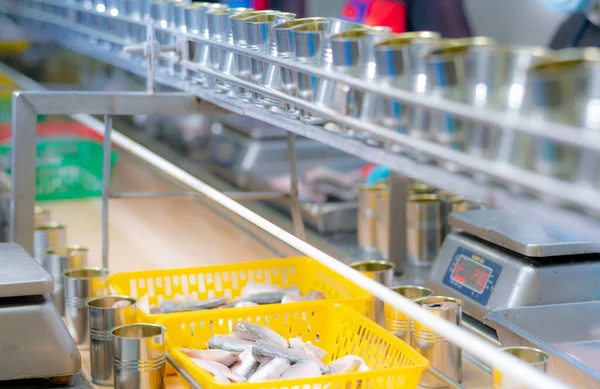 Fábrica Peixe Enlatado Indústria Alimentar Sardinhas Cesta Plástico Amarelo Esperando — Fotografia de Stock