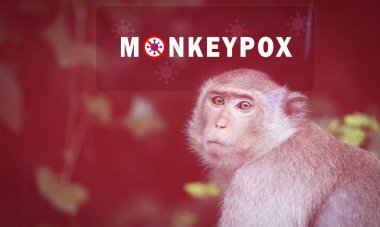 Monkeypox outbreak concept. Monkeypox is caused by monkeypox virus. Monkeypox is a viral zoonotic disease. Virus transmitted to humans from animals. Monkeys may harbor the virus and infect people. clipart