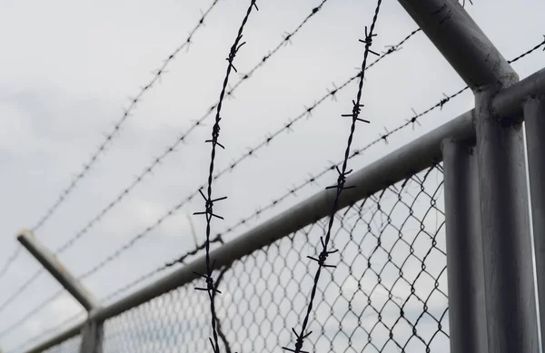 Gevangenisbeveiliging Hek Grensomheining Een Hek Met Prikkeldraad Scheermesdraad Hek Veiligheidsmuur — Stockfoto