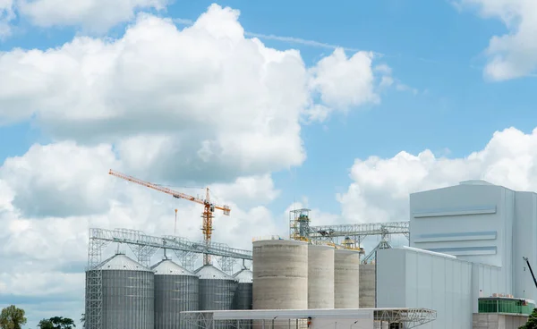 Animal feed factory construction site. Agricultural silo at feed mill factory. Tank for store grain in feed manufacturing. Seed stock tower for commercial animal feed production. Animal food industry.