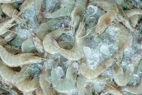 Fresh White Shrimps Crushed Ice Sale Market Raw Prawns Cooking — ストック写真