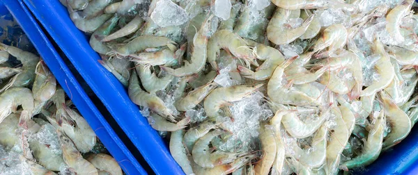 Fresh White Shrimps Crushed Ice Sale Market Raw Prawns Cooking — ストック写真