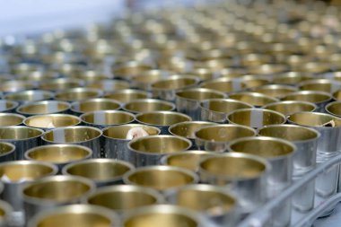 Konserve balık fabrikası. Yiyecek endüstrisi. Taşıma bandında bir sürü sardalya konservesi var. Yiyecek fabrikasındaki konserve kutularda kırmızı domates soslu sardalyalar. Gıda üretim hattı. Gıda üretim endüstrisi.