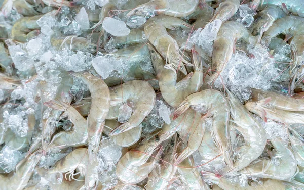 Fresh White Shrimps Crushed Ice Sale Market Raw Prawns Cooking — ストック写真