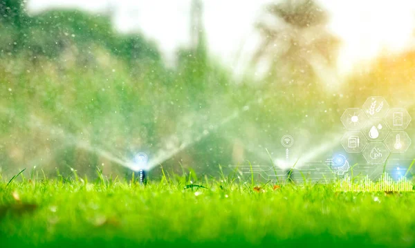 Automatic lawn sprinkler watering green grass and icon of smart farming concept. Smart agriculture with modern technology concept. Sustainable agriculture. Precision agriculture. Climate monitoring.