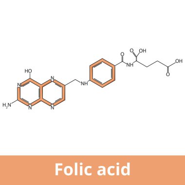 Folik asidin kimyasal yapısı. Ayrıca Pteroylglutamik asit, folat, folacin, B kompleksinin suda çözünen vitamini olarak da adlandırılır. Bu, hayvanlarda ve bitkilerde nükleik asitlerin sentezi için gereklidir.