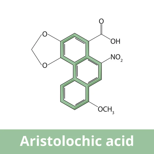 Aristolochic Acid Carcinogenic Mutagenic Nephrotoxic Phytochemical Found Flowering Plant Family — Vector de stock