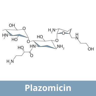 Plazomicin. Karmaşık idrar yolu enfeksiyonlarını tedavi etmek için kullanılan Aminoglycoside antibiyotiği damara enjekte edilerek verilir. Kimyasal yapı.