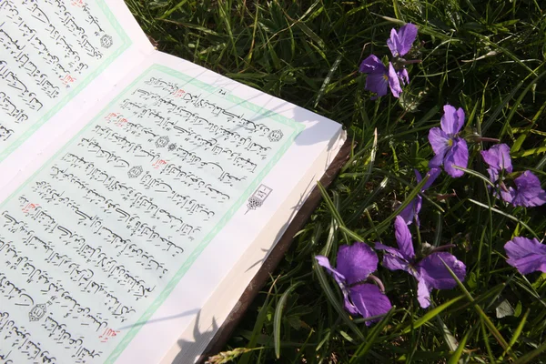 Der Koran im Gras. lizenzfreie Stockfotos