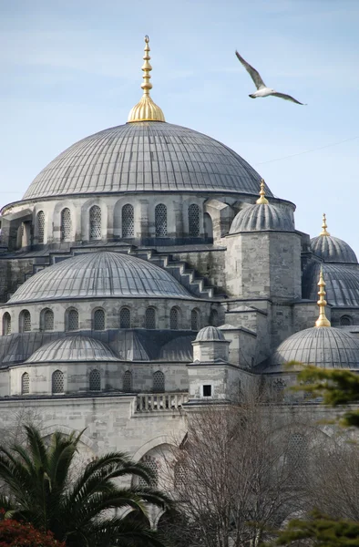 The blue mosque — Stock Photo, Image