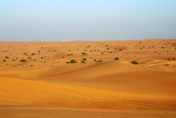 Paisagem do deserto em Dubai — Fotografia de Stock