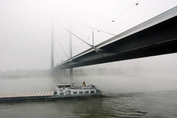 Mist on the Rhine — Stock Photo, Image
