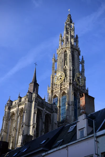 Antwerp Cathedral — Stock Photo, Image
