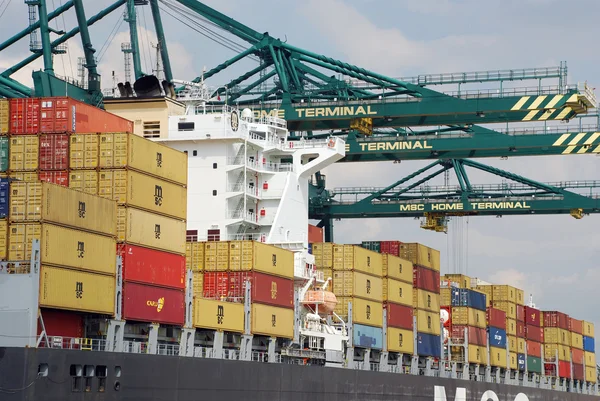 Containers in de haven van Antwerpen — Stockfoto