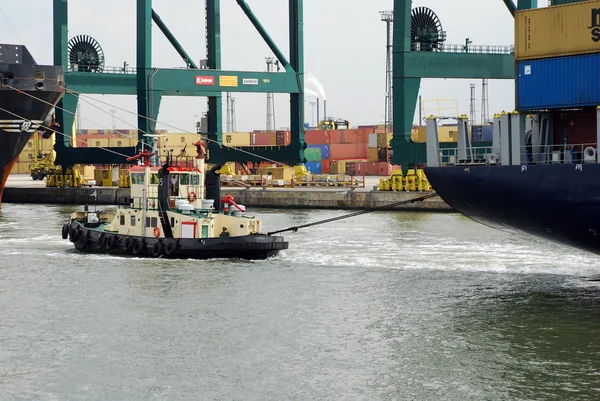 Container im Hafen von Antwerpen — Stockfoto