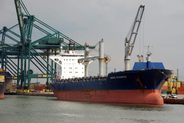 Antwerp port konteynerler — Stok fotoğraf