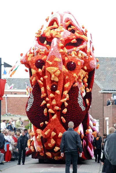 Zundert flowercorso — Stok fotoğraf