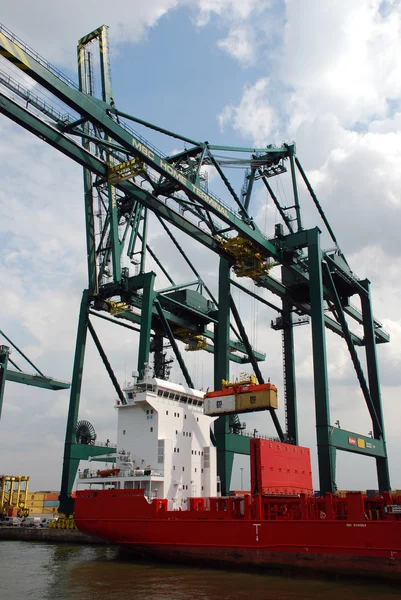 Container im Hafen von Antwerpen — Stockfoto