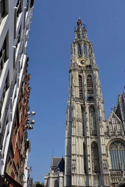 Antwerpen — Stockfoto