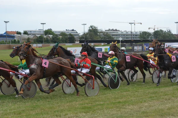 Horse racing — Stock Photo, Image