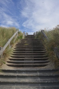Dunes Belçika deniz kenarı