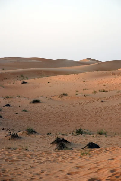 Paisaje del desierto en Dubai — Foto de Stock