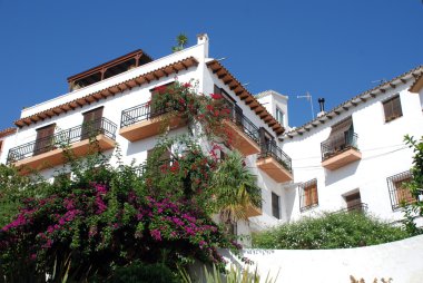 Altea