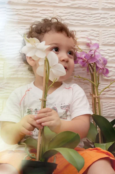 Un niño con una flor — Foto de Stock