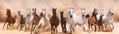 A herd of horses running on the sand storm clipart