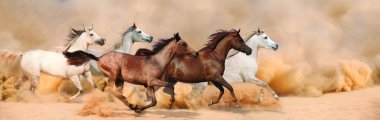 Herd gallops in the sand storm clipart