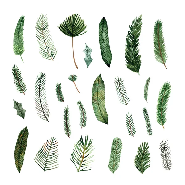Brunches Pinheiros Verdes Almoços Árvore Natal Ilustração Aquarela Sobre Branco — Fotografia de Stock