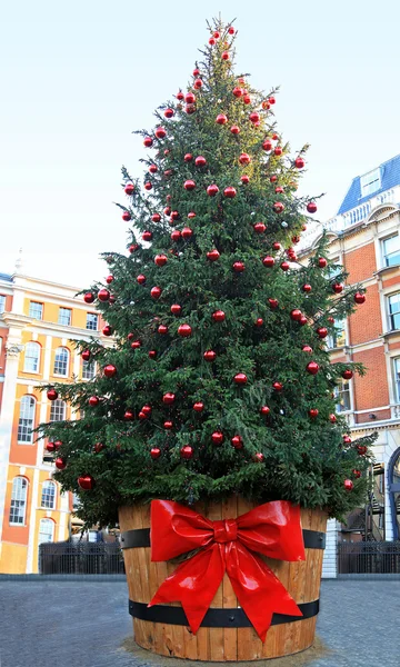 Big Christmas tree — Stock Photo, Image