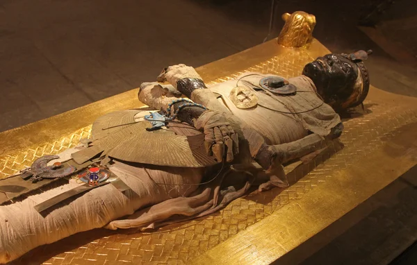 Egyptische mummie Stockfoto