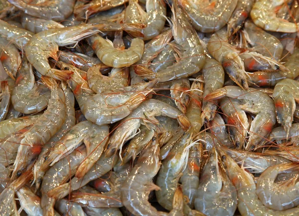 Fresh prawns Royalty Free Stock Images