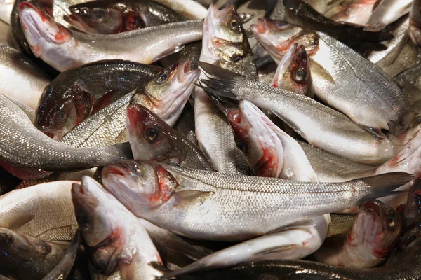 Pila de pescado —  Fotos de Stock