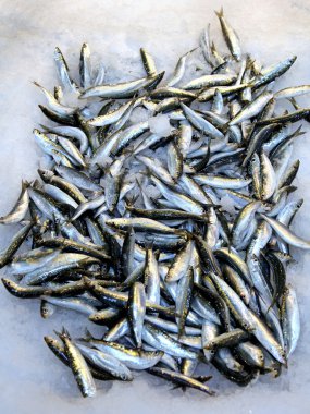 Balık kazık kokuyordu