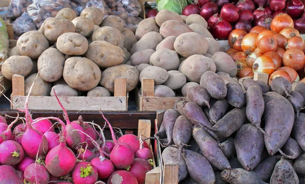 Produtos hortícolas de raiz — Fotografia de Stock