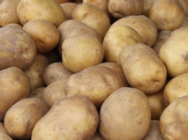 Beyaz patates